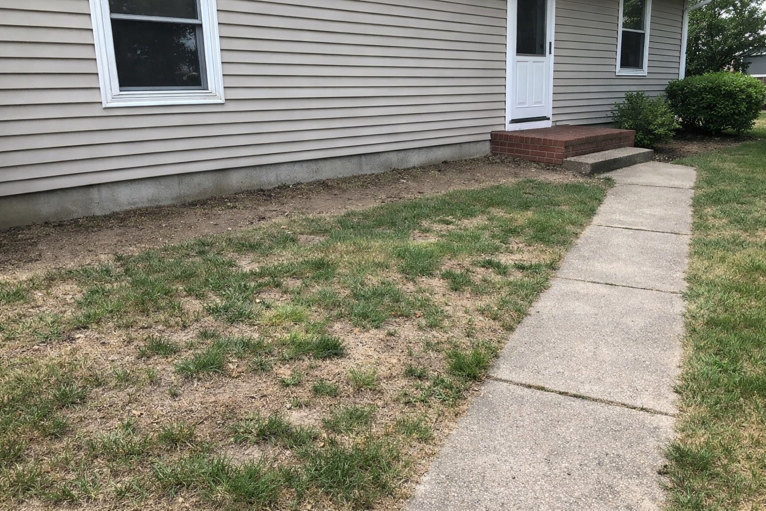 Sample Lawn & Landscape photo